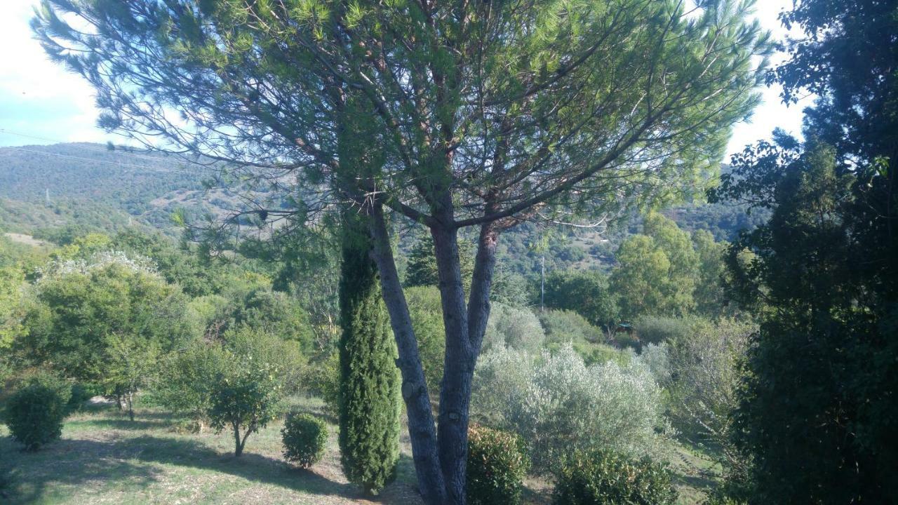 Villa Degli Olmi Allumiere Exterior foto